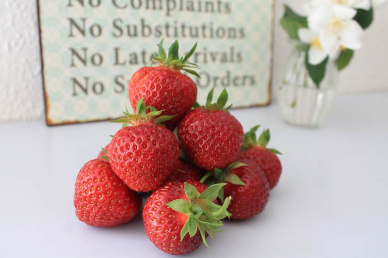 Danske økologiske jordbær